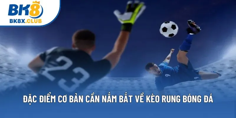 Đặc điểm cơ bản cần nắm bắt về kèo rung bóng đá Đặc điểm cơ bản cần nắm bắt về kèo rung bóng đá